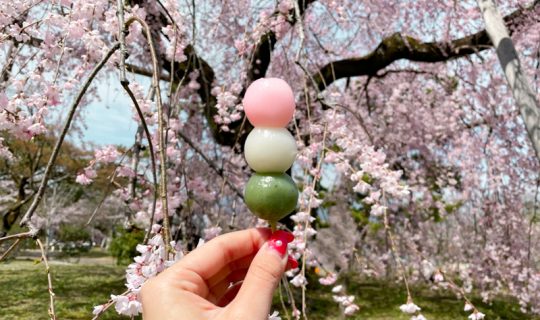 円山公園,乙女の祇園祭